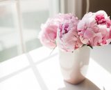 Post Format: Video , Lorem Ipsum esse Cillum Dolore