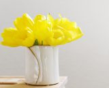 Post Format: Aside, Lorem Ipsum same family